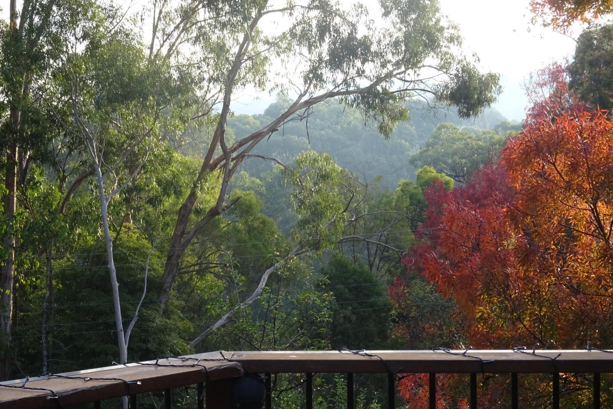 Yarra Ranges Country Apartment Mount Evelyn Екстериор снимка